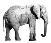 elefante transparente web