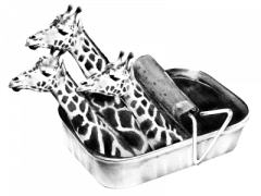 jirafas transparente web