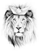 león transparente web